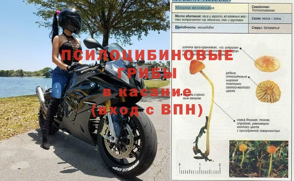 амфетамин Медногорск