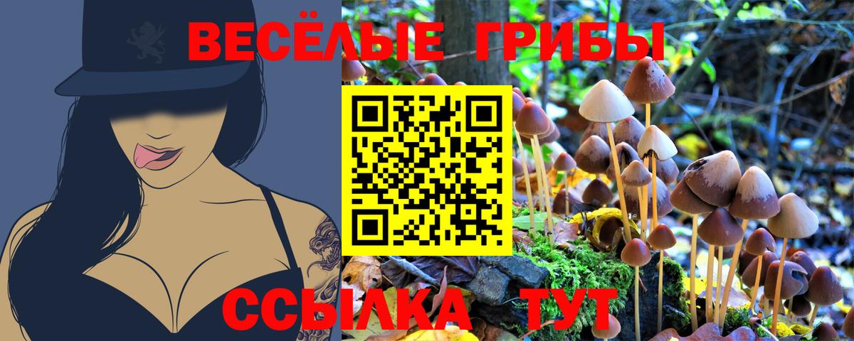 Псилоцибиновые грибы Magic Shrooms  Вход с VPN  Черемхово 