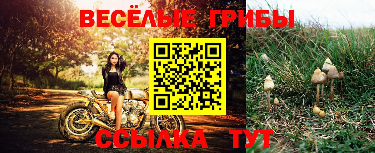 Галлюциногенные грибы Cubensis Черемхово